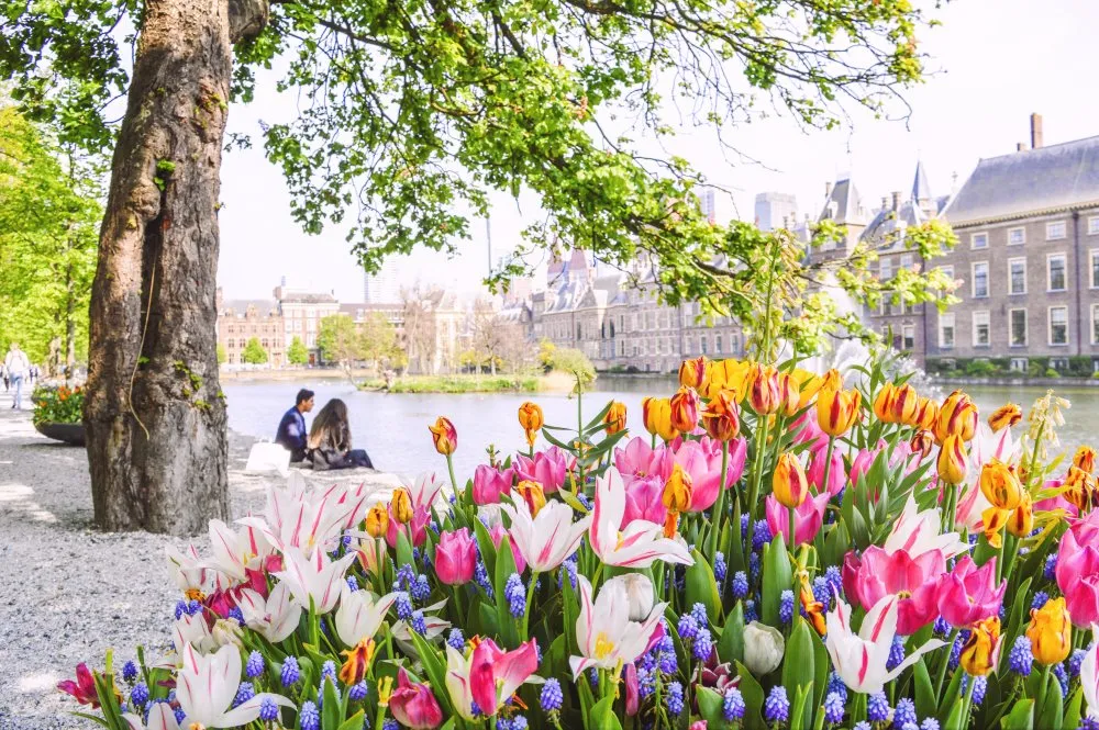 Wat te doen in Flevoland in de lente